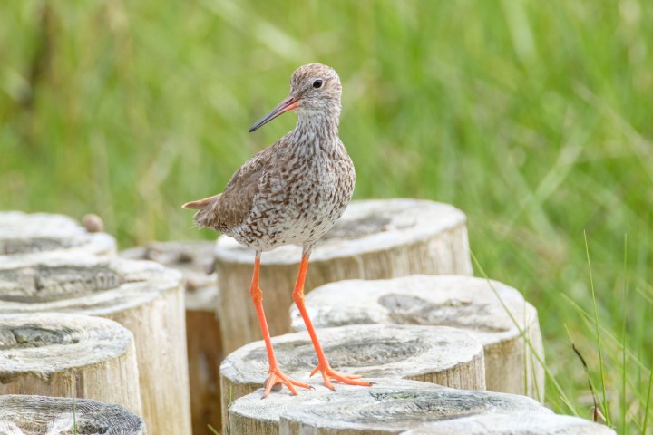 2019-08-06_13h59m56s_DSF7563