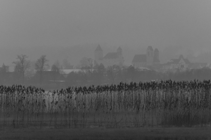 2020-01-11_07h57m56s_DSF0182