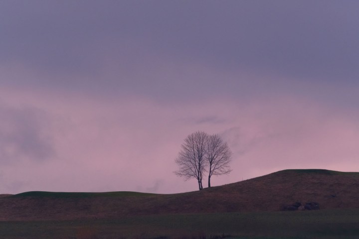 2020-01-11_08h01m18s_DSF0183